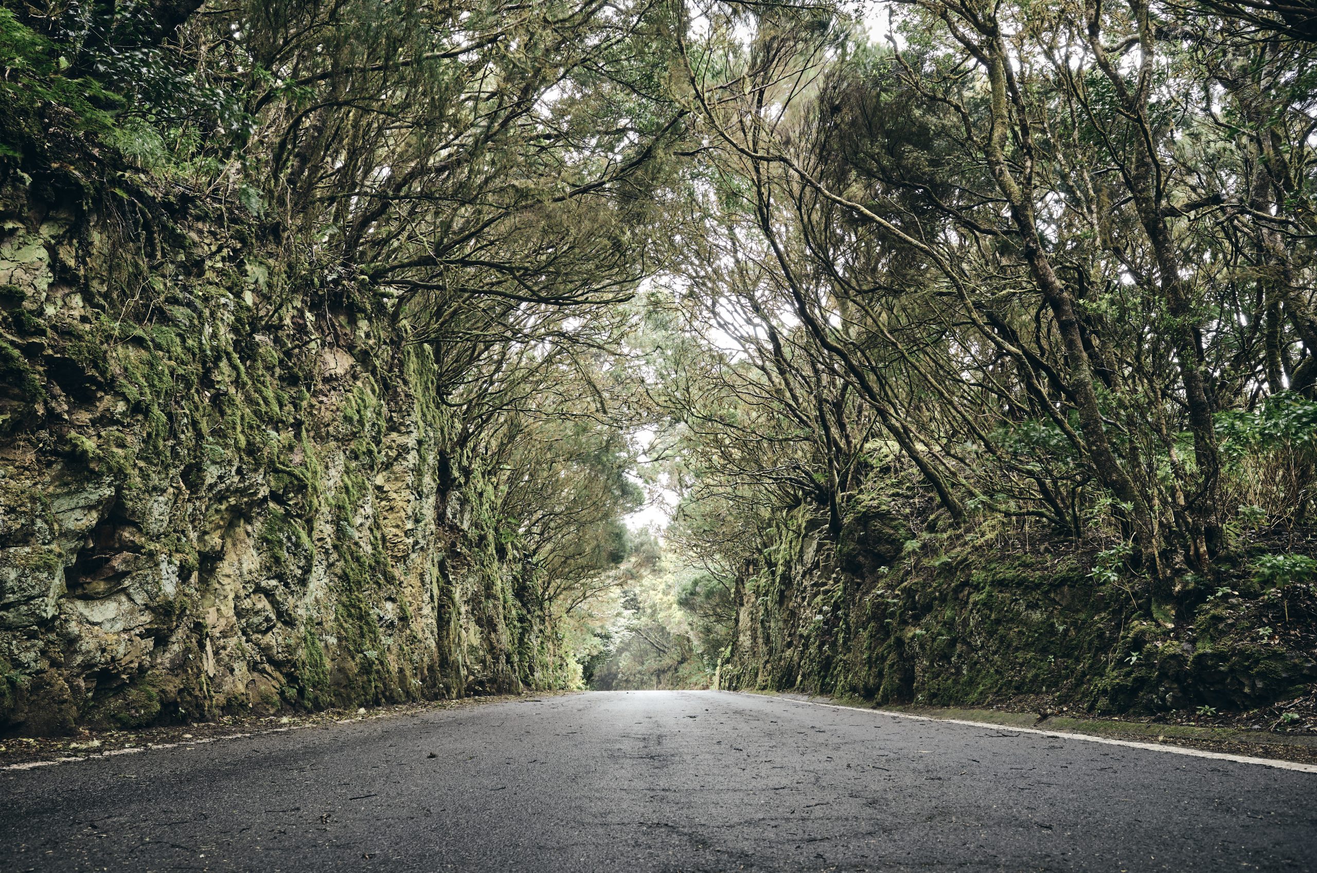 Scenic road in the Anaga UNESCO biosphere reserve